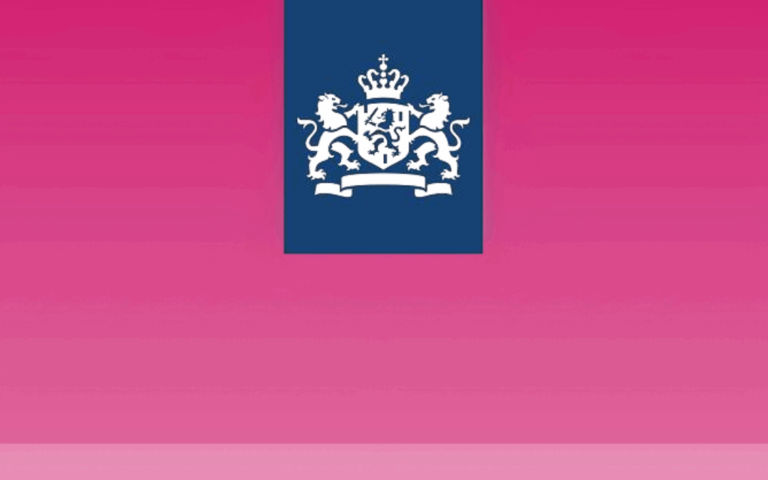 Organisatie Consultant