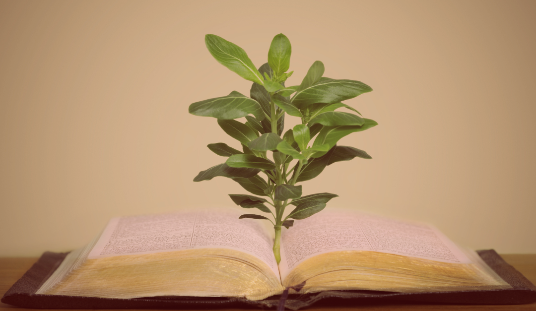 Arbeidsmarkt 2026: kansrijke sectoren